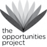 The Opportunities Project_Grey